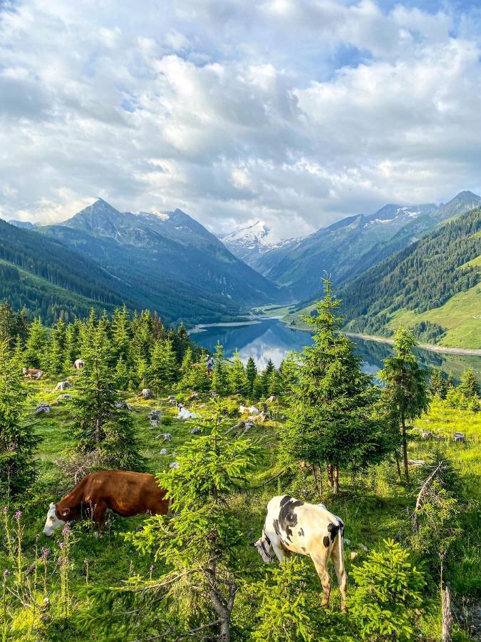 Schmezlhof Leilighet Zell am Ziller Eksteriør bilde